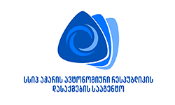Partner 1